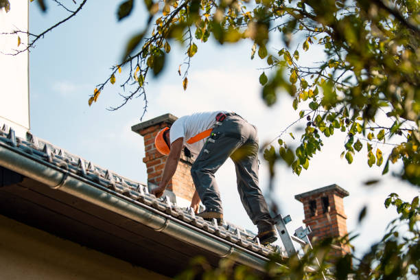 Best Emergency Roof Repair  in Gorevle, IL