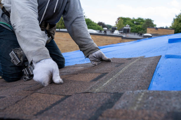Best Commercial Roofing Services  in Gorevle, IL