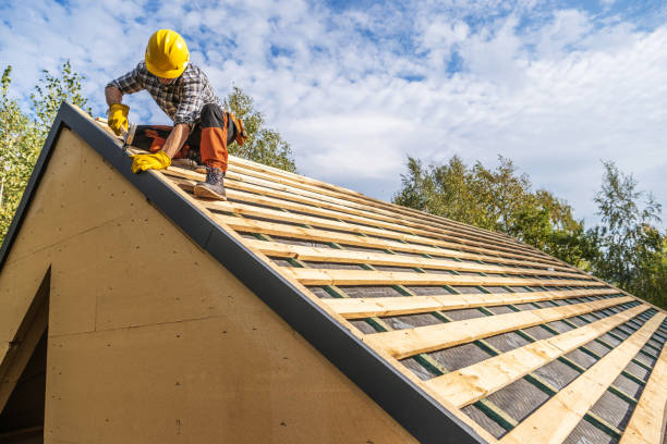 Best Sealant for Roof  in Gorevle, IL