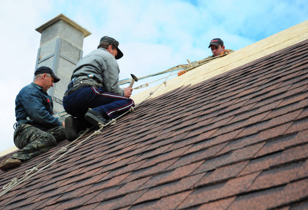 Best Best Roofing Contractors  in Gorevle, IL